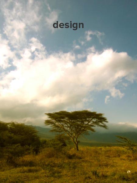 design