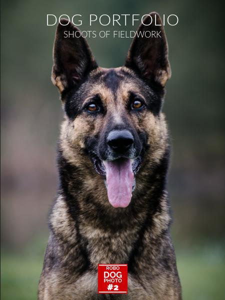 DOG PORTFOLIO
