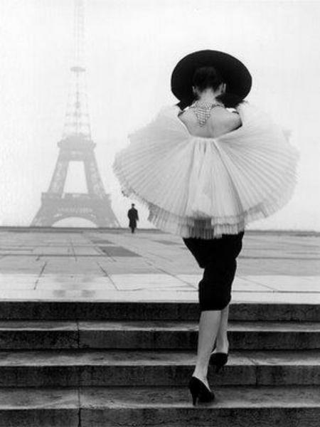 The fashion indusrty