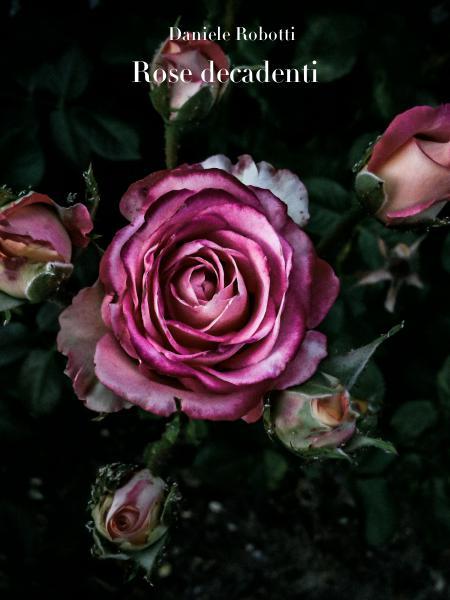 Rose decadenti