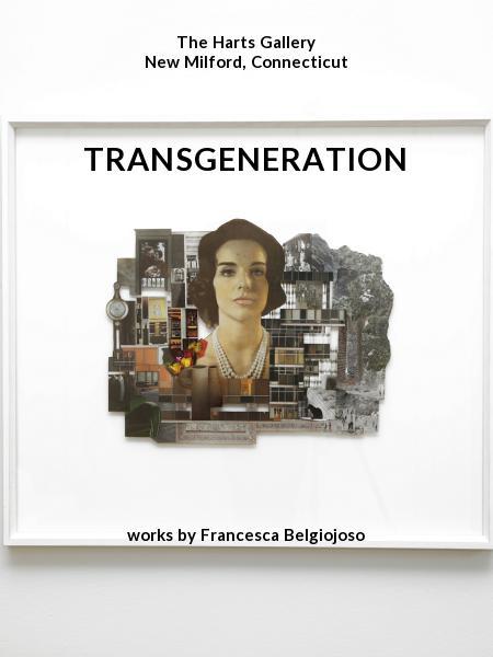   TRANSGENERATION