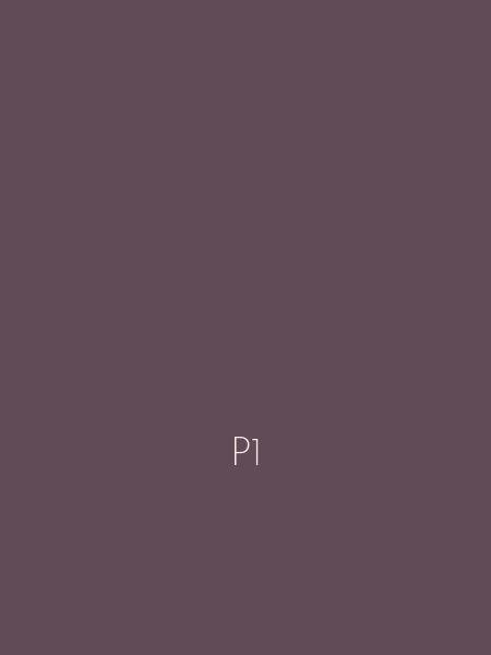P1